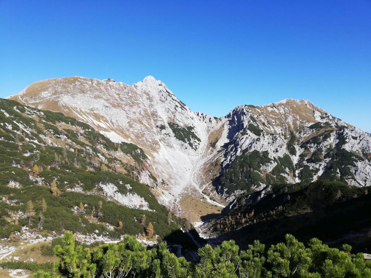 Brunarica Na Goreljeku Bohinj Exterior photo