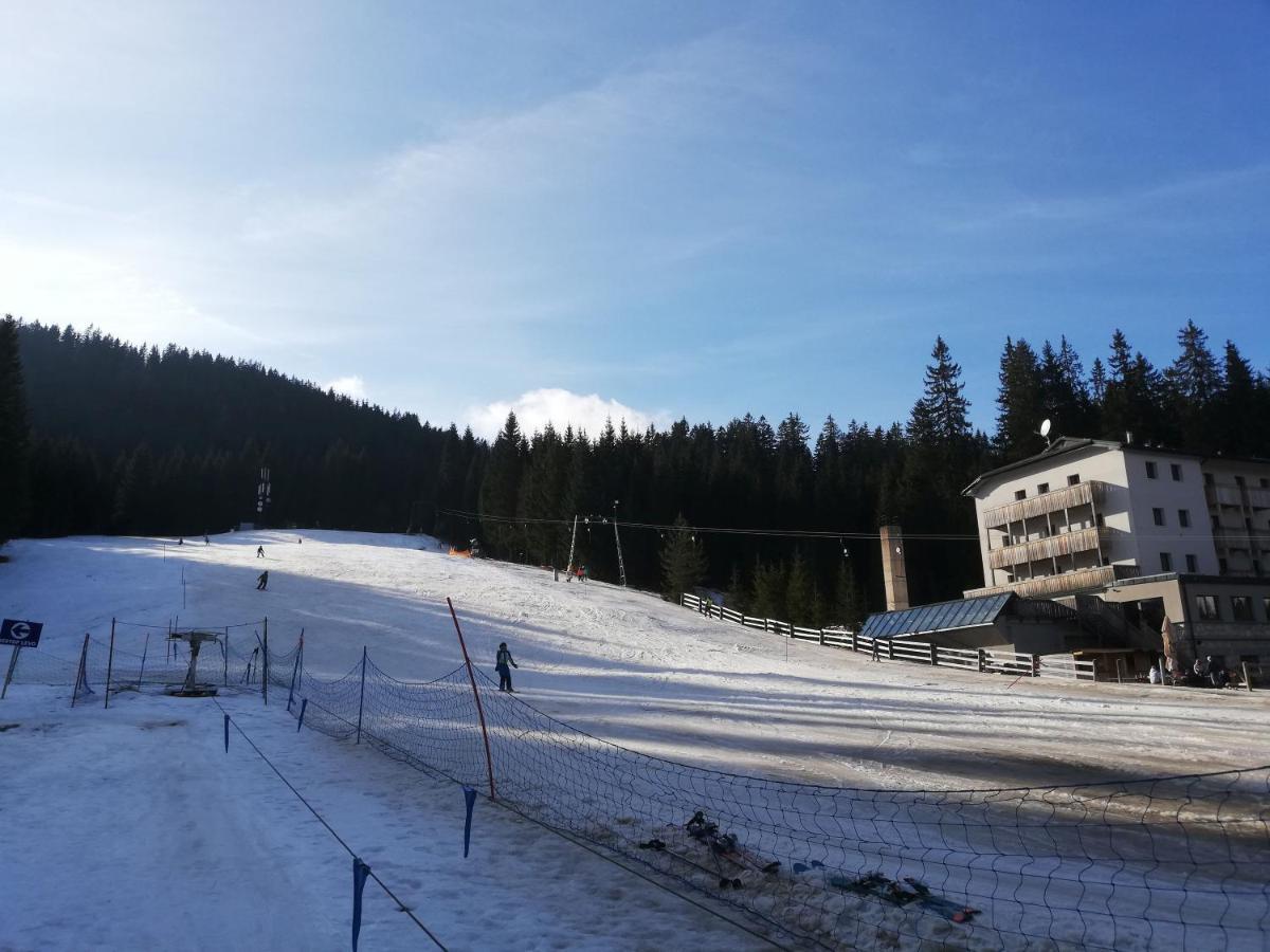 Brunarica Na Goreljeku Bohinj Exterior photo