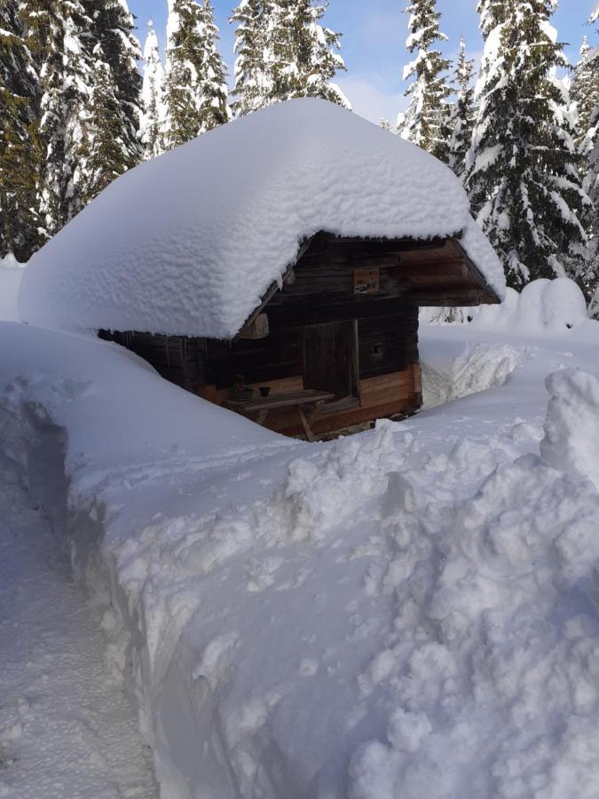 Brunarica Na Goreljeku Bohinj Exterior photo