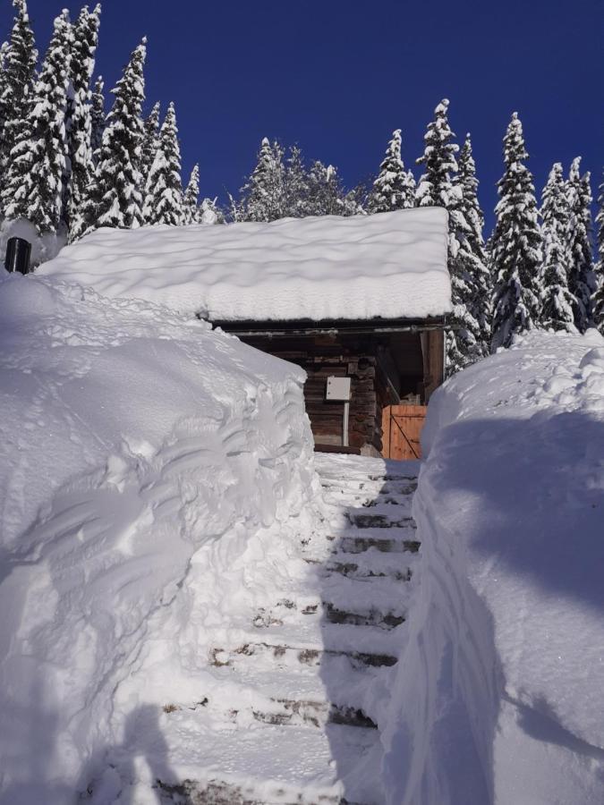 Brunarica Na Goreljeku Bohinj Exterior photo