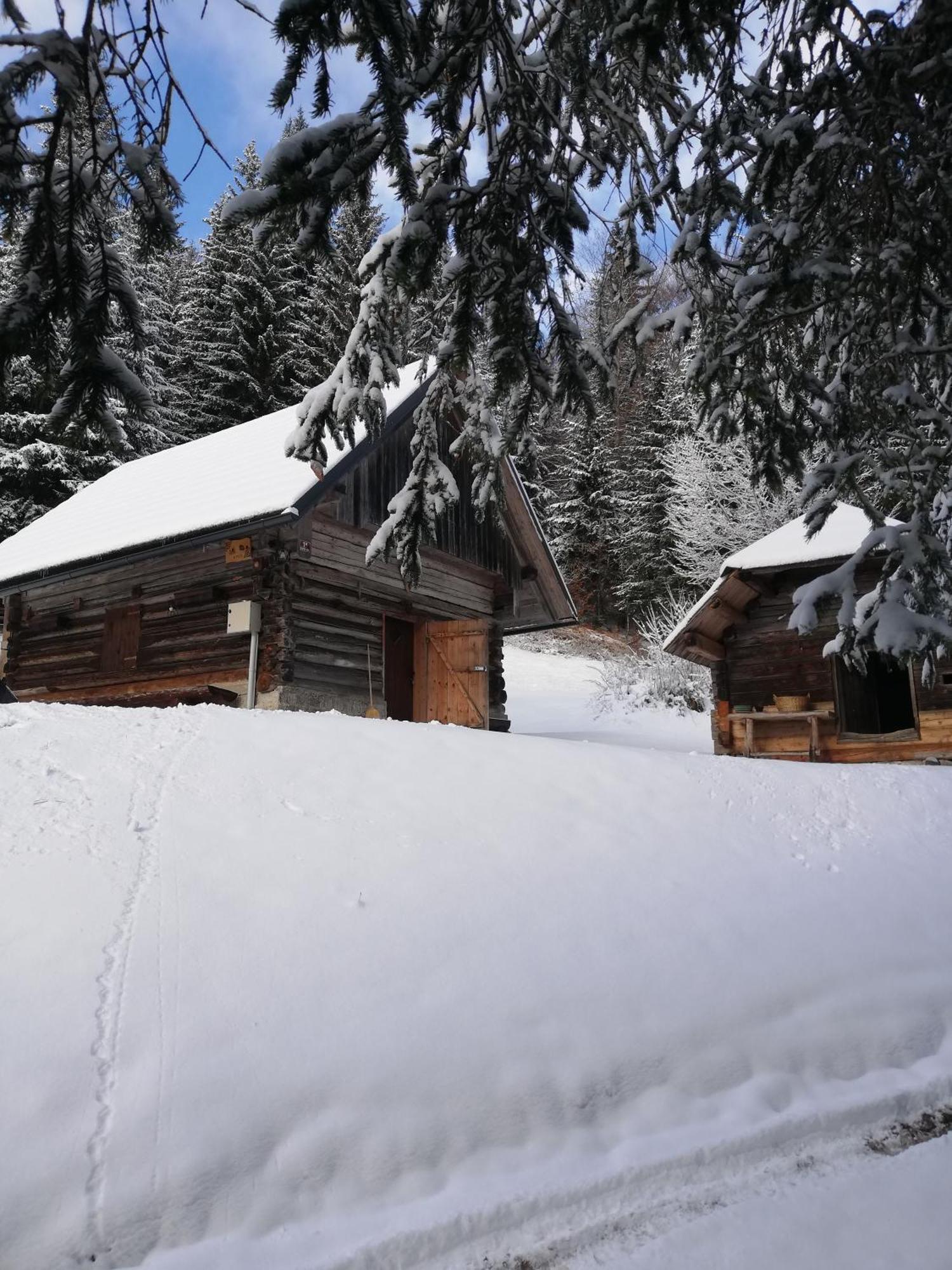 Brunarica Na Goreljeku Bohinj Exterior photo